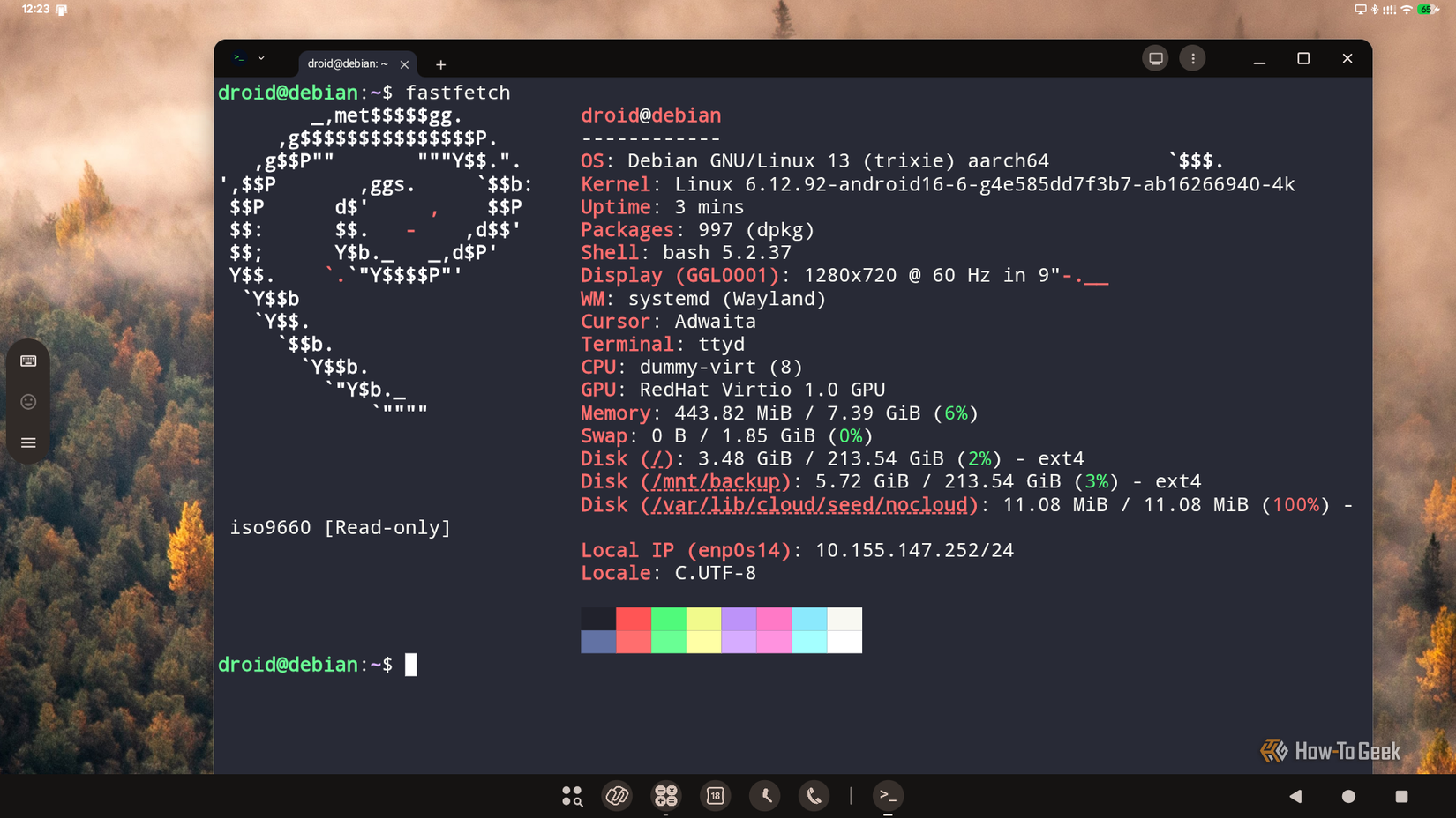 The future of Linux depends on these 4 distros