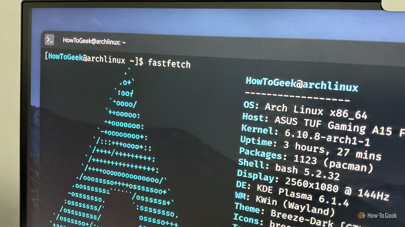 Установка Arch Linux: почему это больше не считается сложной задачей Вывод данных системы в терминале Arch Linux