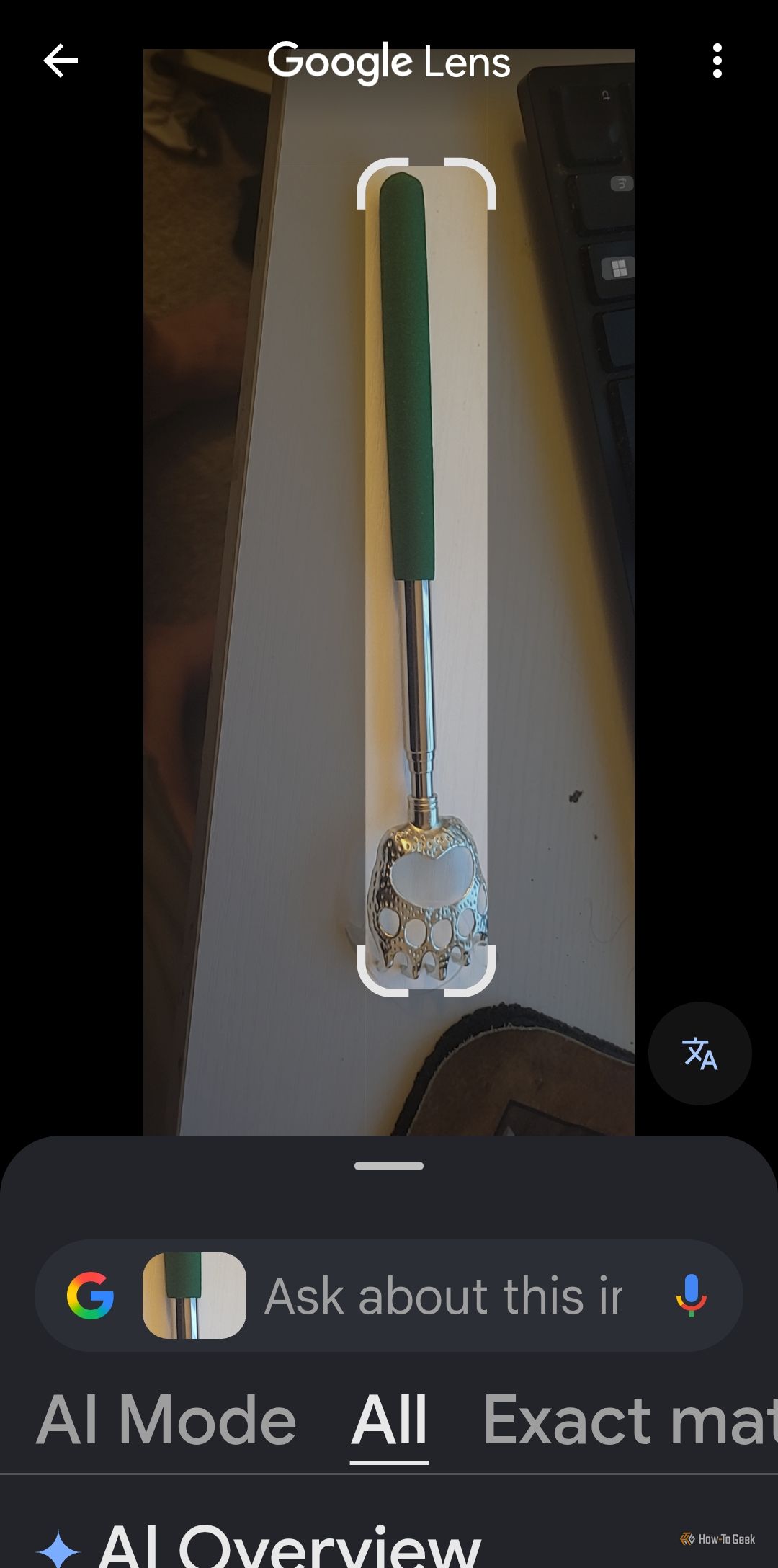 Getting an image of a cool backscratcher using Google Lens