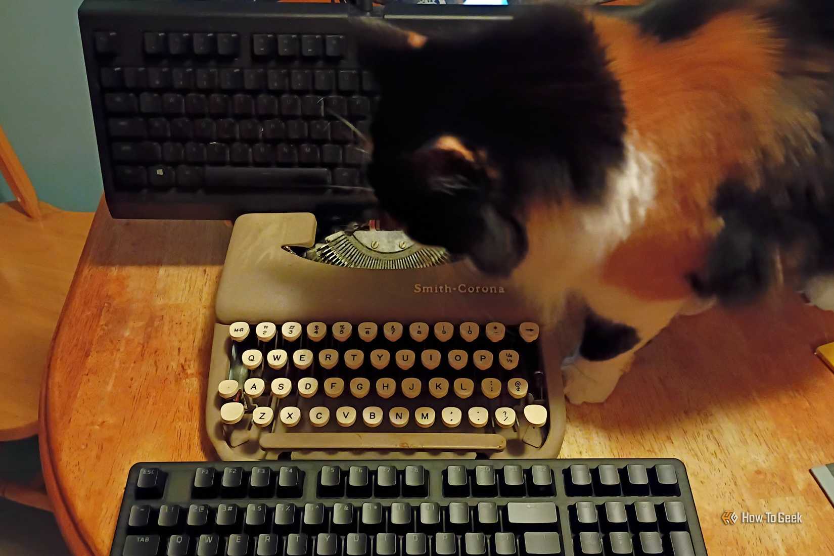 Two keyboards sit above and below a typewriter while a calico cat investigates.