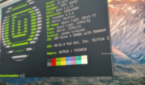 linux-mint-desktop-with-a-customized-version-of-cinnamon-looking-like-macos-having-the-linux-terminal-active-showing-neofetch-1