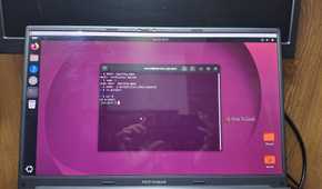 Linux terminal displaying the use of some Bash tricks to make repetitive work easier.
