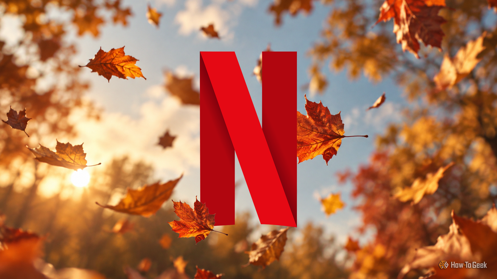 Source Geek Logo 3 fresh new Netflix documentaries to watch this weekend (October 2-4)