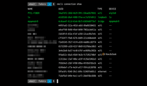 Network Connections in Fedora Terminal