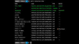 Network Connections in Fedora Terminal
