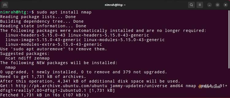 Инструменты для отслеживания сетевой активности на Linux Терминал с введенной командой для установки утилиты Nmap
