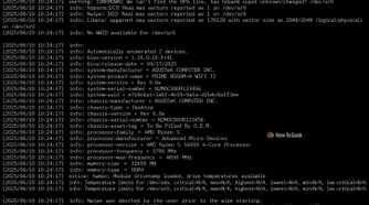 Nwipe Terminal Log
