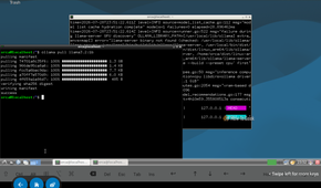 A screenshot of Ollama installing Debian on a tablet.