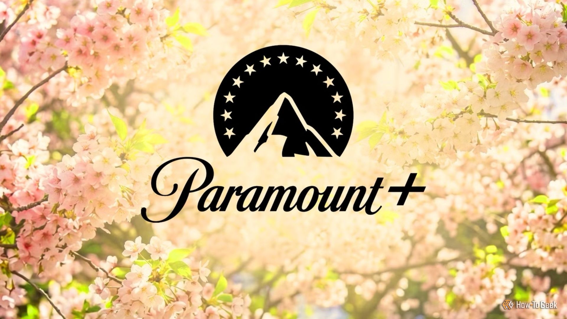 4 excellent Paramount+ shows to watch and finish in one sitting