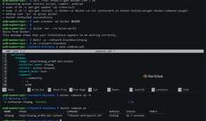 Raspberry Pi Docker Setup Terminal
