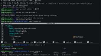Raspberry Pi Docker Setup Terminal