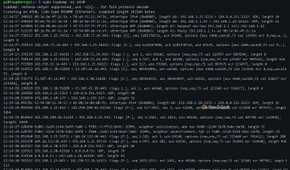 Raspberry Pi Terminal Packet Capture
