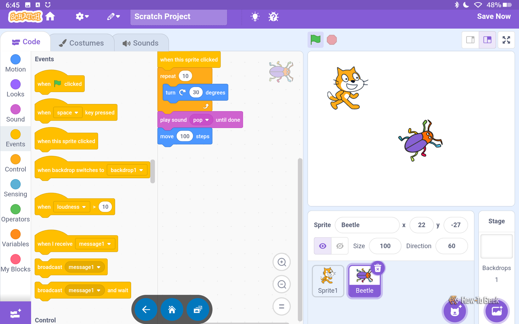 The Scratch editor workspace featuring code blocks configured for a beetle sprite alongside the cat mascot on the stage.