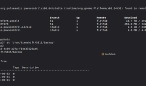 An update script showing flatpak updates and timeshift snapshots.