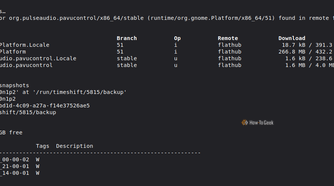 An update script showing flatpak updates and timeshift snapshots.