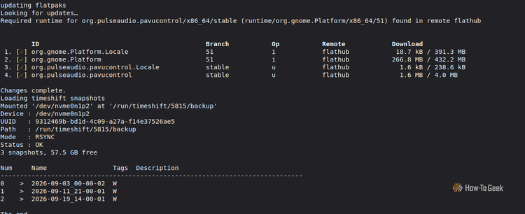 An update script showing flatpak updates and timeshift snapshots.