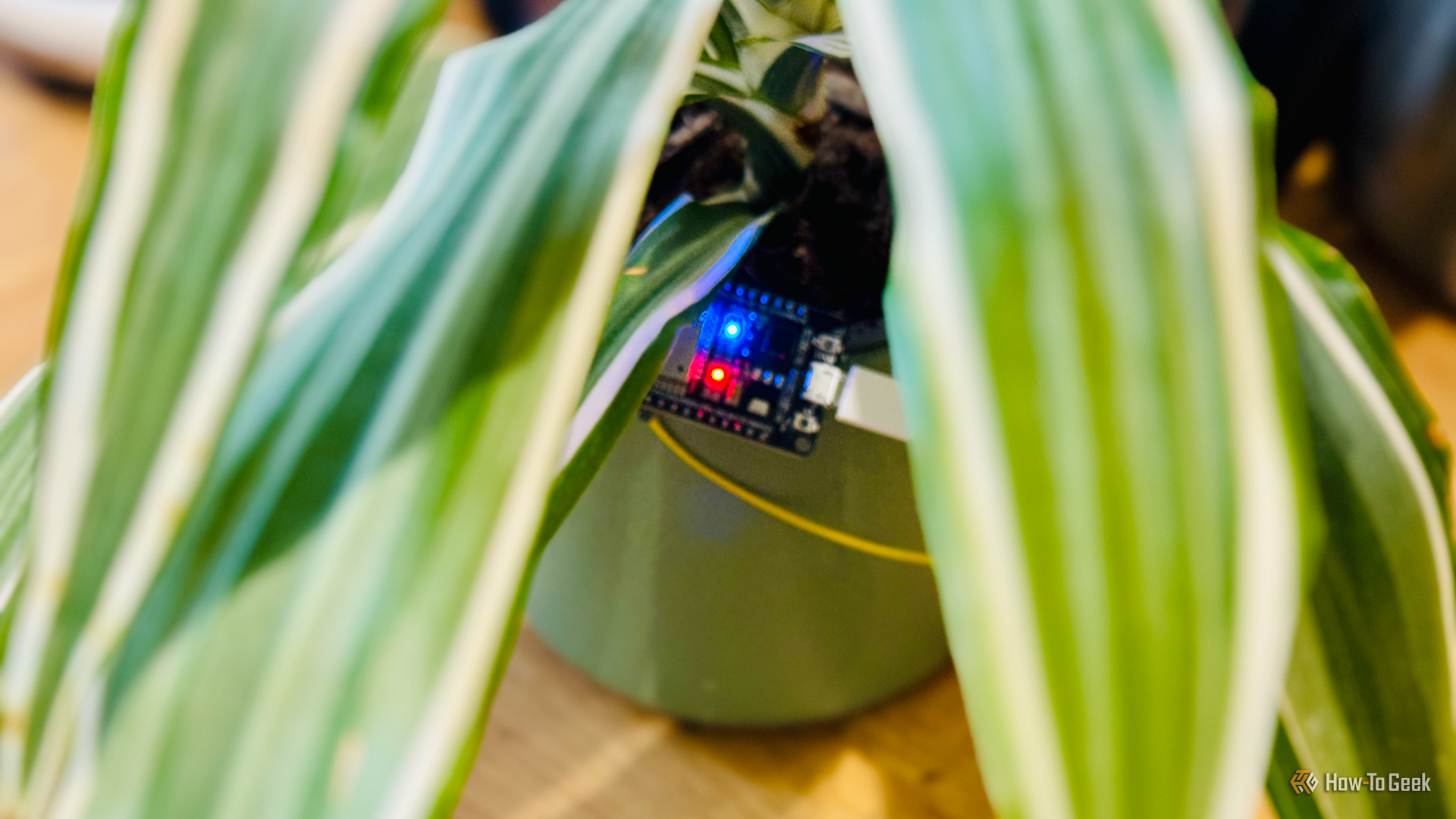 Forget Wi-Fi moisture sensors—this ESP32 project works offline and costs half as much