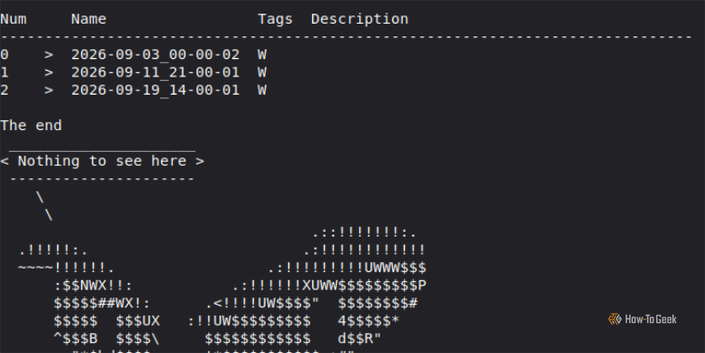Terminal output showing a list of three Timeshift system snapshots alongside ASCII art of wide eyes with a speech bubble reading "Nothing to see here."
