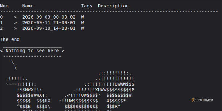 Terminal output showing a list of three Timeshift system snapshots alongside ASCII art of wide eyes with a speech bubble reading "Nothing to see here."