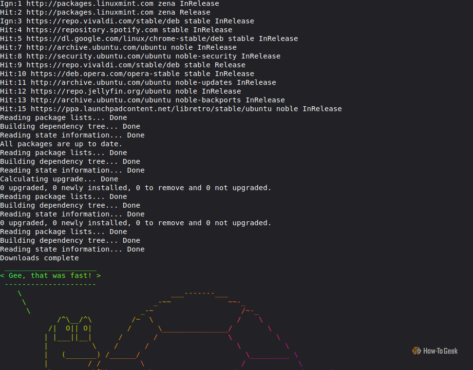 Terminal execution output showing Linux Mint system package updates followed by a rainbow-colored ASCII art turtle saying, "Gee, that was fast!"