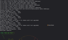 Terminal execution output showing Linux Mint system package updates followed by a rainbow-colored ASCII art turtle saying, "Gee, that was fast!"