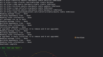 Terminal execution output showing Linux Mint system package updates followed by a rainbow-colored ASCII art turtle saying, "Gee, that was fast!"