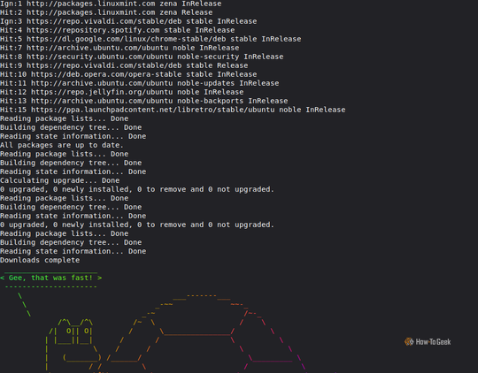 Terminal execution output showing Linux Mint system package updates followed by a rainbow-colored ASCII art turtle saying, "Gee, that was fast!"