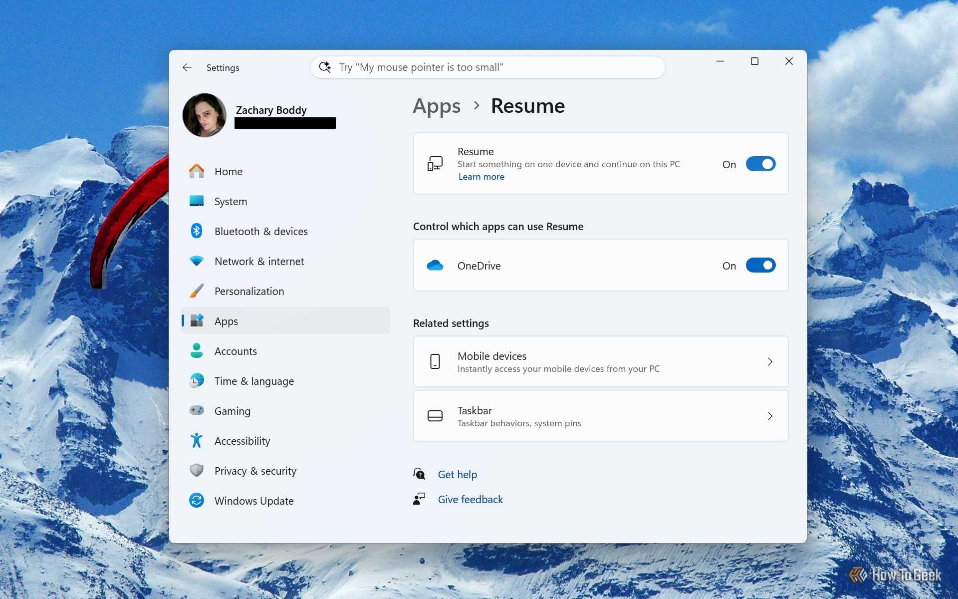 Screenshot of Windows 11's Settings and the "Resume" page.