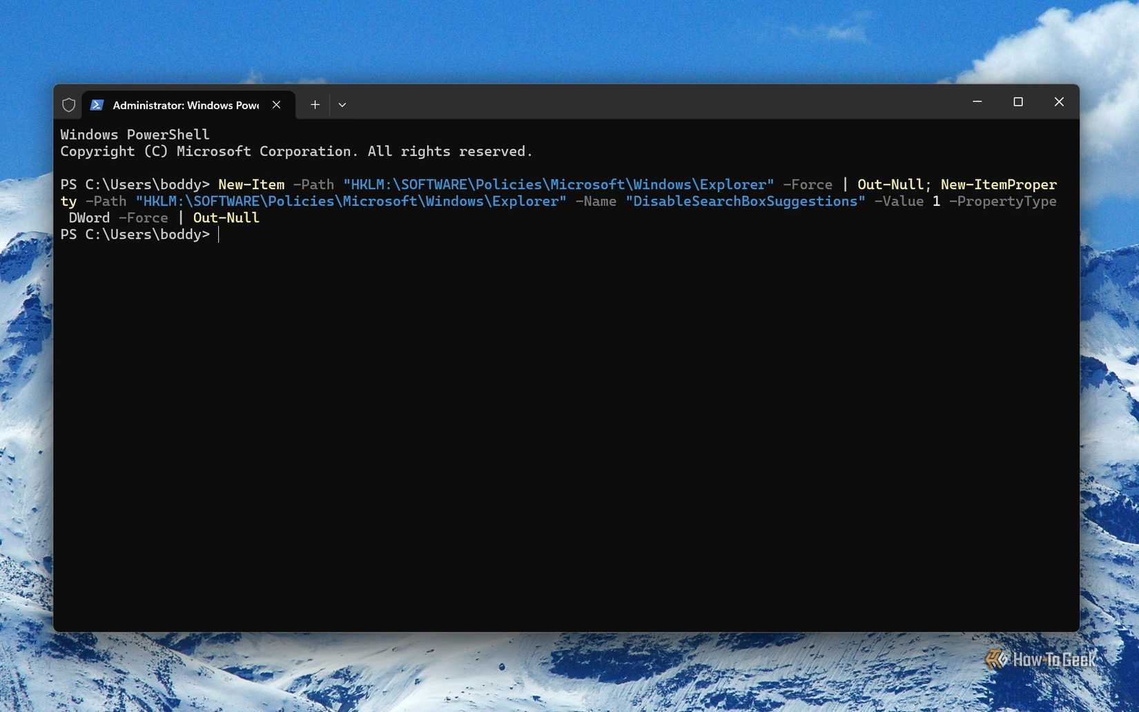 Screenshot of Windows 11's Terminal with the command to disable search web results.