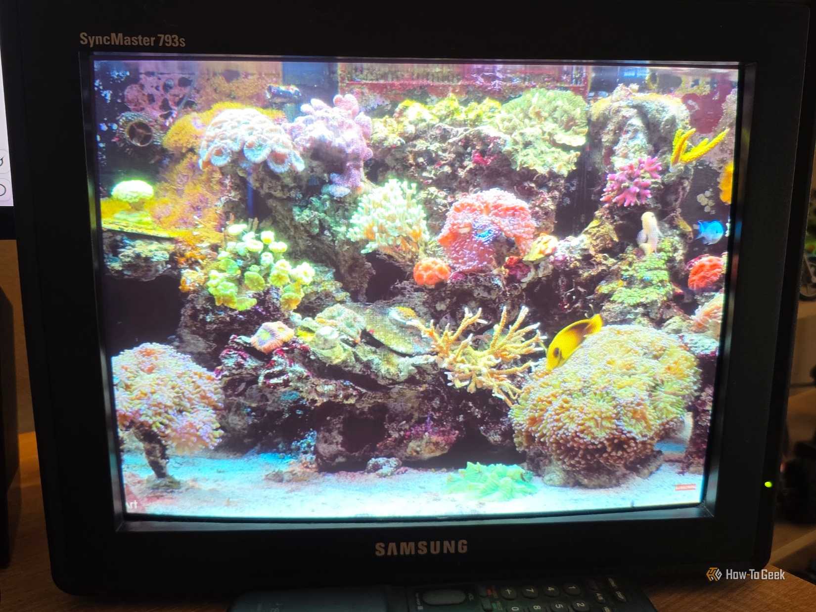 A CRT monitor with a video of an aquarium playing on it.