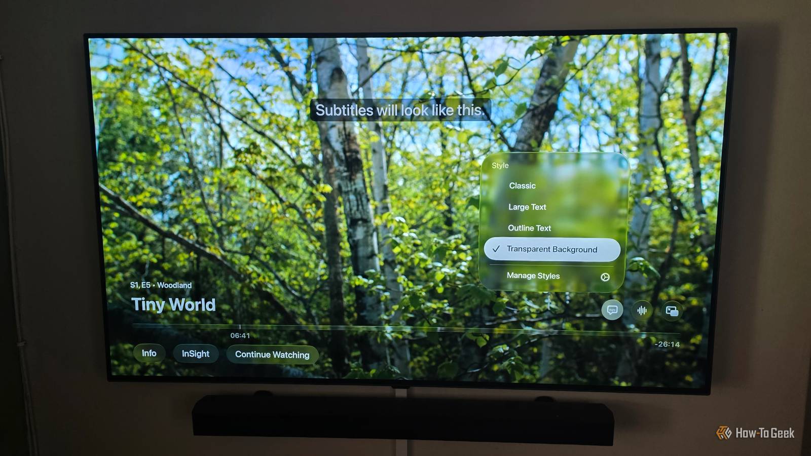 The Apple TV app is showing subtitle options to change styles.