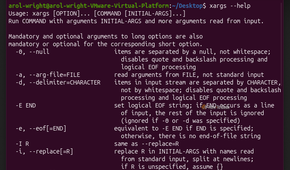 A screenshot of the Linux terminal in Ubuntu showing the xargs command.