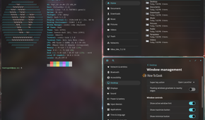 COSMIC auto-tiling with terminal, COSMIC Files and Window management settings tiled side by side.