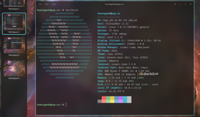 COSMIC workspace switcher sidebar showing four workspaces with the terminal on Workspace 2.