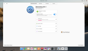 elementary OS 8.1 System Settings Operating System page with automatic updates enabled.