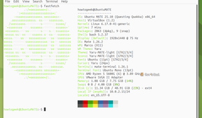 MATE Terminal showing fastfetch output for Ubuntu MATE 25.10 with MATE 1.26.2 on X11.