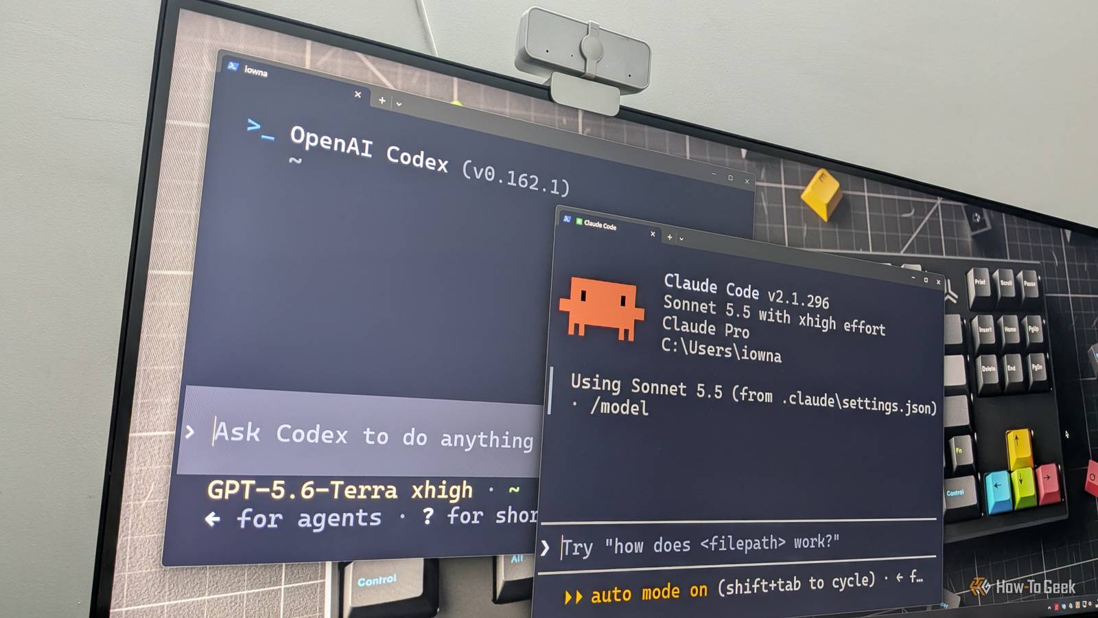 OpenAI Codex and Claude Code terminals open side by side on an ultrawide monitor with GPT-5.6-Terra and Sonnet 5.5 at xhigh effort.