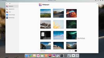 Pantheon System Settings Wallpaper page with the limited Appearance, Text, Dock and Panel, and Multitasking options.