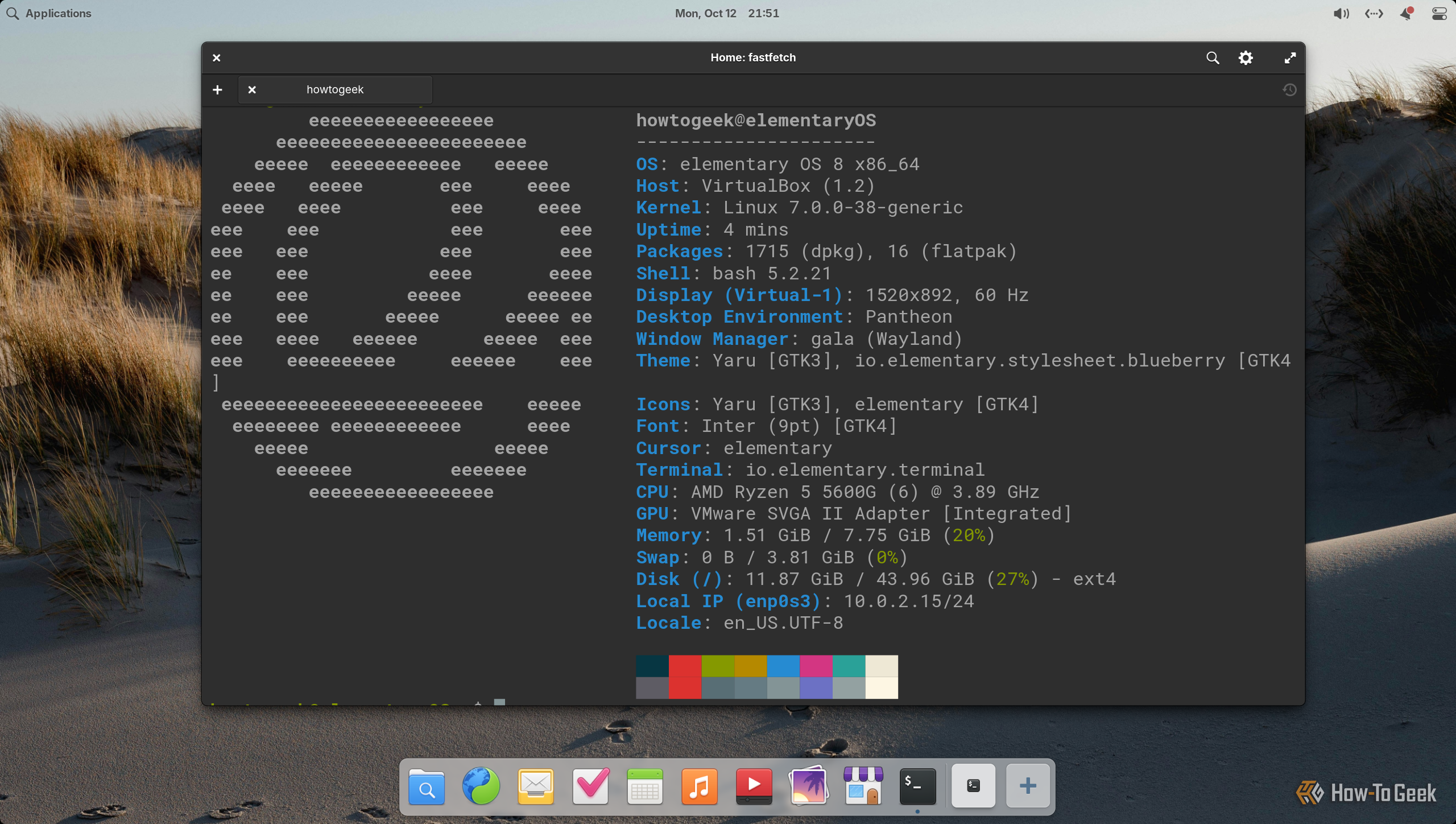 Pantheon Terminal showing fastfetch output for elementary OS 8 with the Pantheon desktop on Wayland.