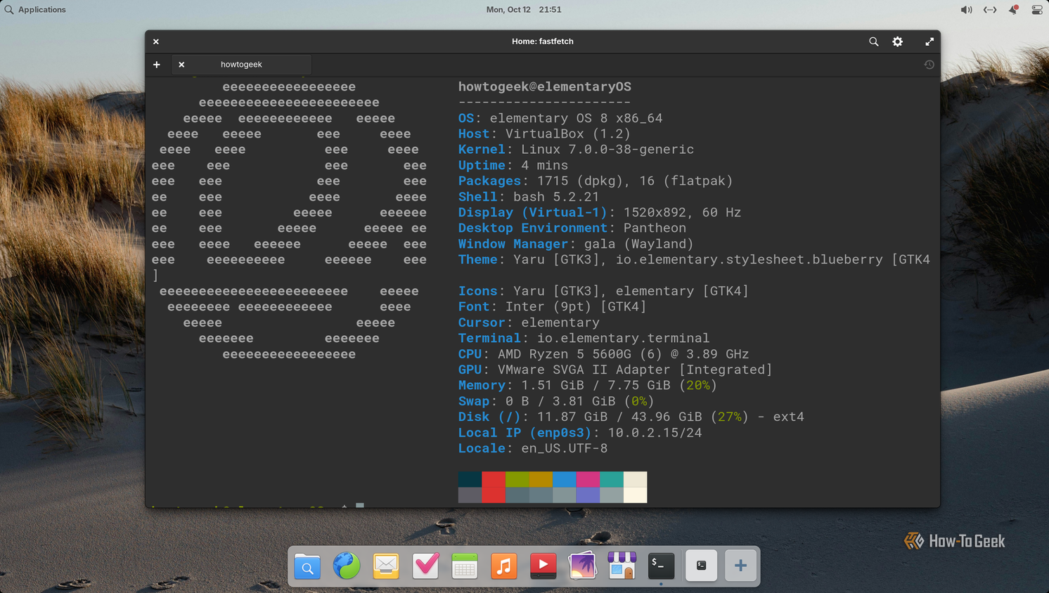Pantheon Terminal showing fastfetch output for elementary OS 8 with the Pantheon desktop on Wayland.