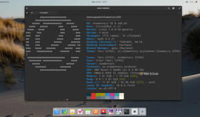 Pantheon Terminal showing fastfetch output for elementary OS 8 with the Pantheon desktop on Wayland.