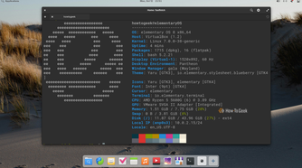 Pantheon Terminal showing fastfetch output for elementary OS 8 with the Pantheon desktop on Wayland.