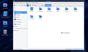PCManFM-Qt file manager on LXQt open on the howtogeek home folder.