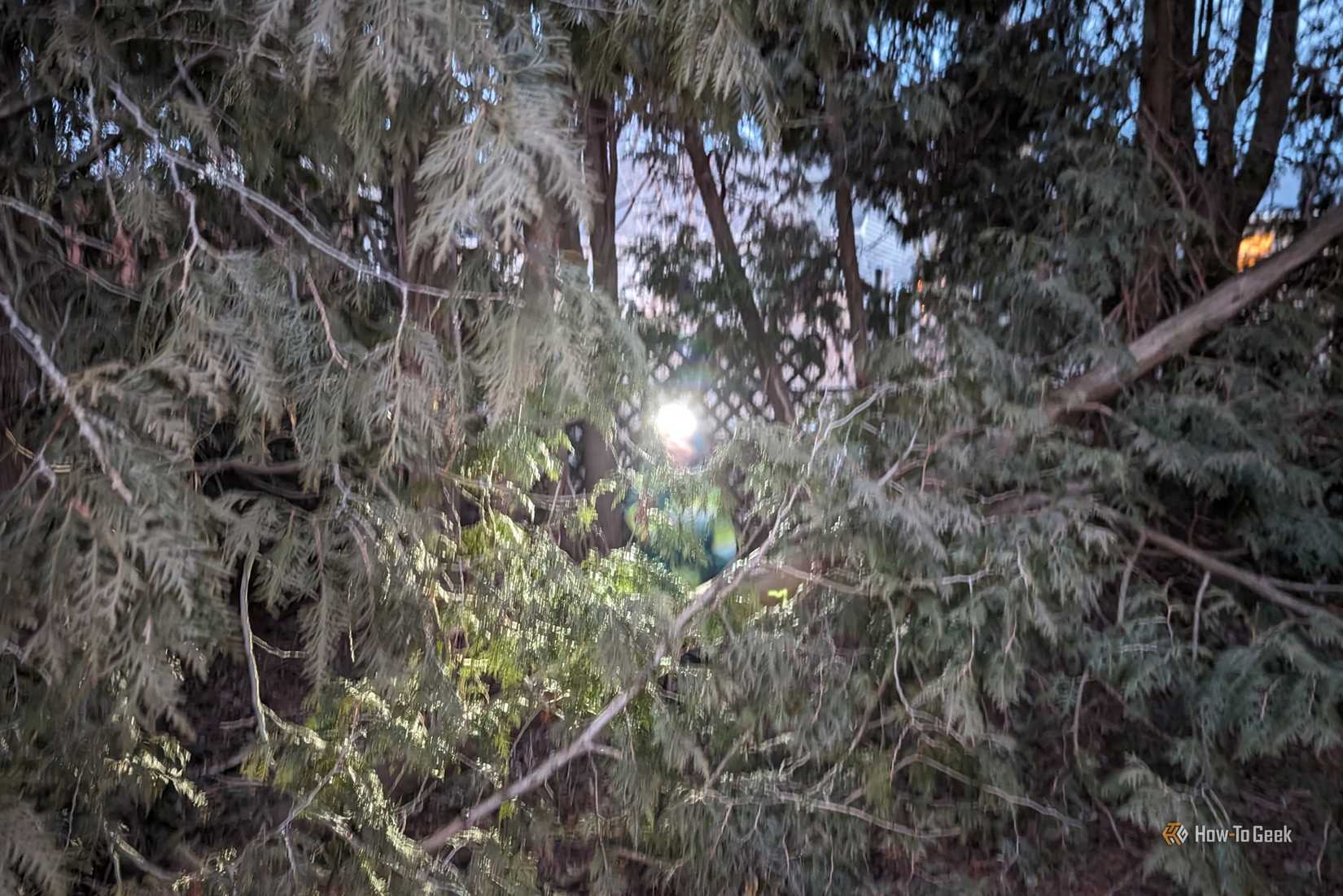 PXL_20240220_233533818.NIGHT