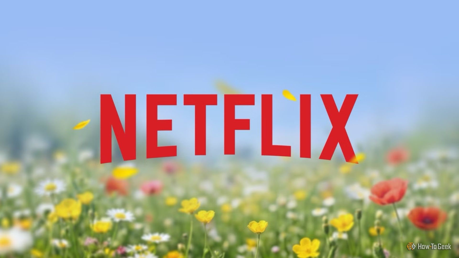 3 brilliant Netflix documentaries to binge-watch this weekend (October 30-November 1)