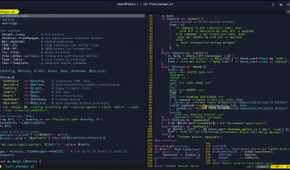 A screenshot of Vim displays a complex Perl fleet management script.