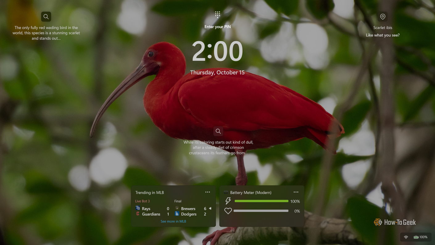 Экран блокировки Windows 11 Стандартный экран блокировки Windows 11